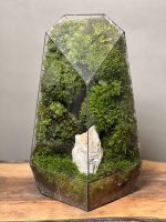 موساریوم چند ضلعی