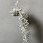 تراريوم آویز