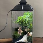 چراغ خواب بنسای پیتسپروم