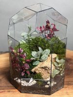 تراریوم گنبد سبز - Image 3
