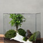 تراریوم بنسای ژاپونیکا