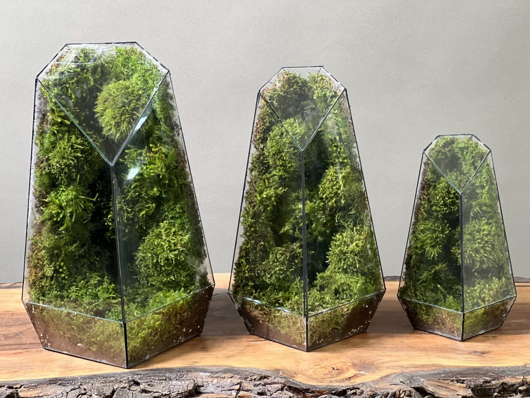 موساریوم طرح طبیعت سه سایز باهم(تراریوم)