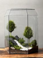 وابی کوزا طرح رودی (تراریوم) - Image 5