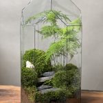 تراریوم گنبد مارچوبه