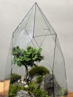 تراریوم لاکچری بنسای نانا - Image 4