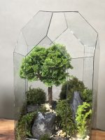تراریوم گنبدی لاکچری بنسای نانا - Image 3