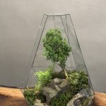 تراریوم لاکچری بنسای ژاپونیکا