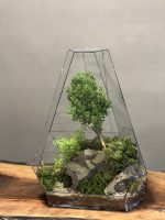 تراریوم لاکچری بنسای ژاپونیکا