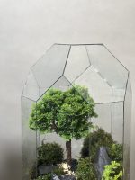 تراریوم گنبدی لاکچری بنسای نانا - Image 4