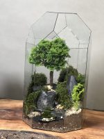 تراریوم گنبدی لاکچری بنسای نانا - Image 2