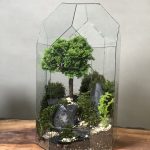 تراریوم گنبدی لاکچری بنسای نانا
