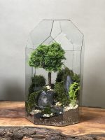 تراریوم گنبدی لاکچری بنسای نانا