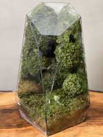 موساریوم طبیعت فاکس 40 Cm (تراریوم) - Image 2