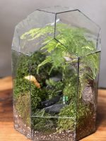 تراریوم گنبد مارچوبه سایز کوچک - Image 3