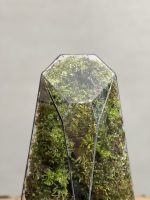 موساریوم طبیعت فاکس ۳۵ Cm (تراریوم) - Image 3