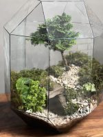 تراریوم بونسای نانا طرح غار - Image 5