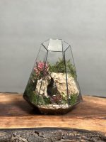 تراریوم طرح غار رویال - Image 2