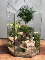 تراریوم بنسای ژاپونیکا طرح گنبد ژاپن - Image 3