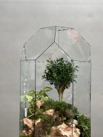 تراریوم بنسای ژاپونیکا طرح گنبد ژاپن - Image 4