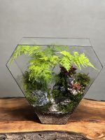 تراریوم طرح مثلث زندگی - Image 4