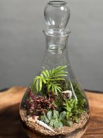 تراریوم طرح فرانسه بزرگ - Image 4
