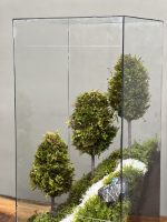 وابی کوزا طرح گرین باکس ۳ کاجه (تراریوم) - Image 4