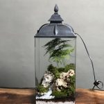 تراریوم چراغدار طرح ادیسون