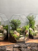 هدایا شرکتی ۴ عدد تراریوم طرح دزرت - Image 3