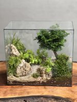 تراریوم بنسای نانا طرح کتاب طبیعت - Image 2
