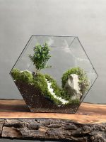 تراریوم بنسای ژاپونیکا طرح پله ی ژاپن - Image 2
