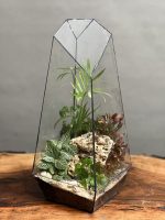 تراریوم طرح طبیعت آمازون - Image 2