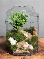 تراریوم بنسای ژاپونیکا طرح جاده ژاپن - Image 3