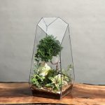 تراریوم بنسای نانا طرح طبیعت 40 Cm