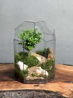 تراریوم بنسای ژاپونیکا طرح جاده ژاپن - Image 2