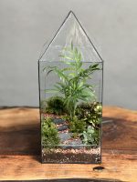تراریوم شامادورا طرح آشیونه - Image 2