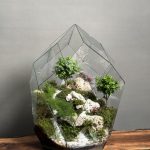 تراریوم سوپر لاکچری بنسای ژاپونیکا