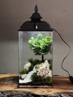چراغخواب بنسای نانا طرح رودی - Image 4