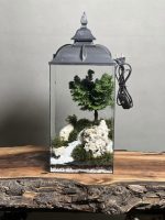 چراغخواب بنسای نانا طرح رودی