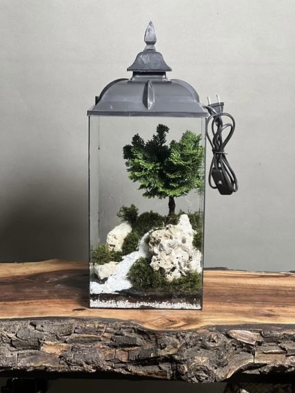 چراغخواب بنسای نانا طرح رودی