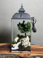 چراغخواب بنسای نانا طرح رودی - Image 2