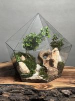 تراریوم‌ بنسای ژاپونیکا طرح برلیان - Image 2
