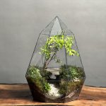 تراریوم بنسای انار طرح غار