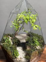 تراریوم بنسای انار طرح غار - Image 4
