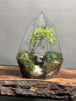تراریوم بنسای انار طرح غار - Image 2