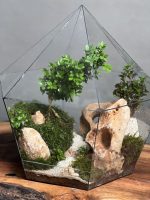 تراریوم‌ بنسای ژاپونیکا طرح برلیان - Image 3