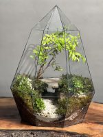 تراریوم بنسای انار طرح غار - Image 3