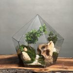 تراریوم‌ بنسای ژاپونیکا طرح برلیان