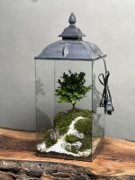 چراغخواب بنسای ژاپونیکا طرح وان روود - Image 2