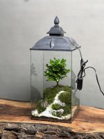 چراغخواب بنسای ژاپونیکا طرح وان روود - Image 3