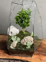 تراریوم بنسای ژاپونیکا طرح الماس ژاپن - Image 3